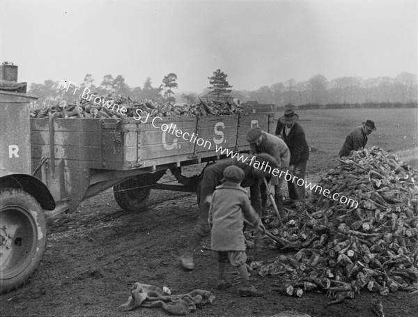 BEET WORKERS LOAD GSR TRUCK